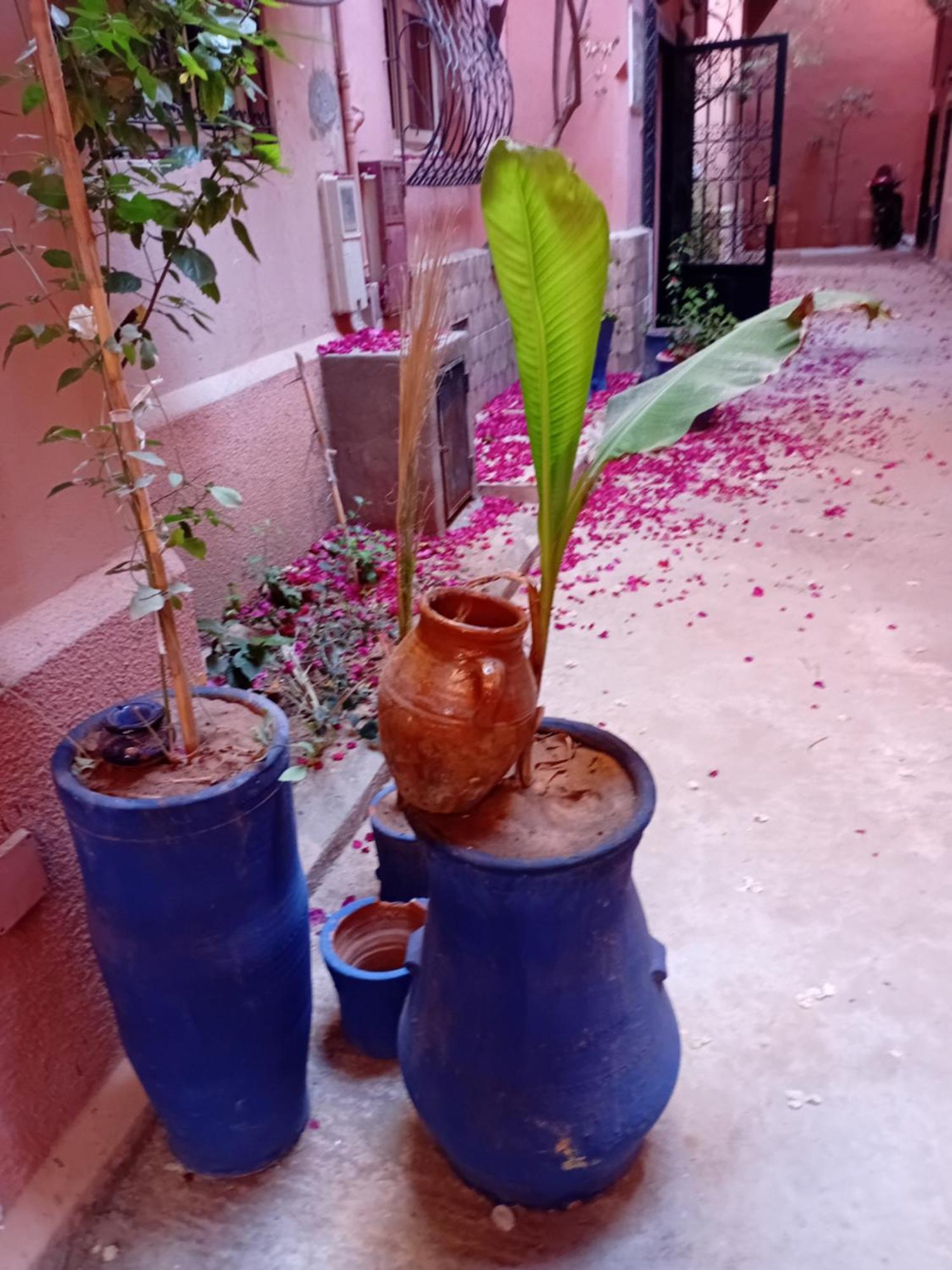 Riad Le Shams Marrákes Kültér fotó
